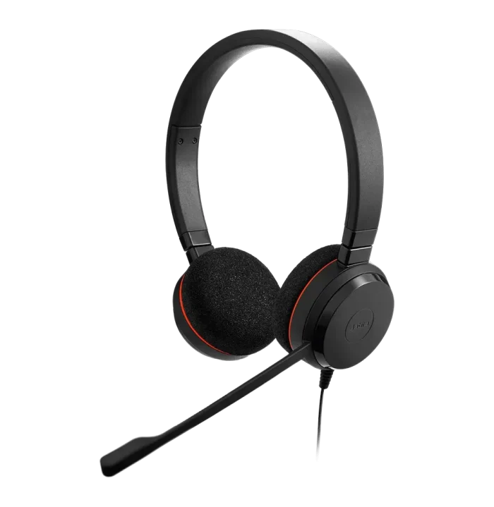 Casque-micro Jabra Evolve 20 MS Stereo - USB (4999-823-109)